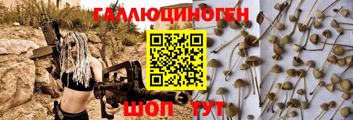 Галлюциногенные грибы прущие грибы  Галлюциногенные грибы Cubensis  Волгоград  Вход с VPN 