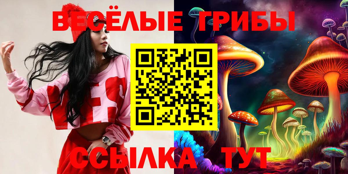 Галлюциногенные грибы Psilocybine cubensis Волгоград